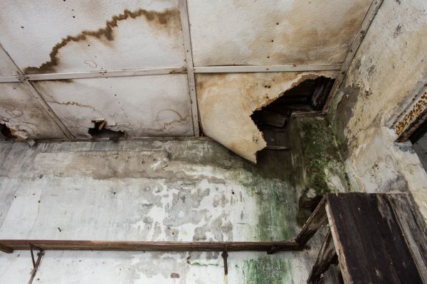 Water Damage Service in Belleville