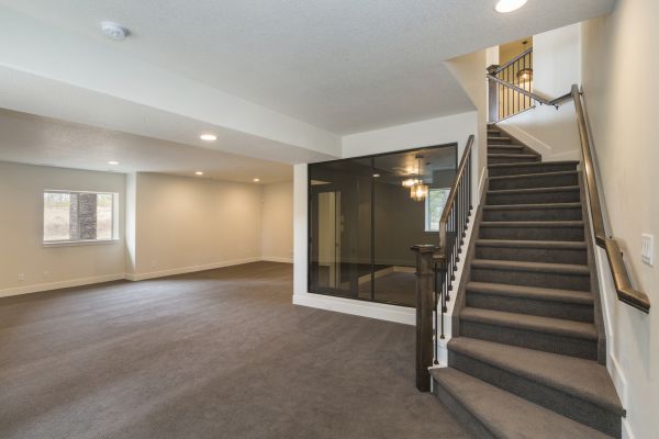 Basement Restoration Service in Belleville
