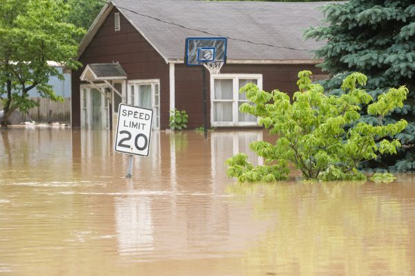 Cost of Storm Restoration Service in Belleville