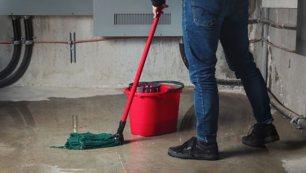 Flooded Basement Cleanup in Belleville