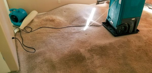 Flood Damage Cleanup in Belleville