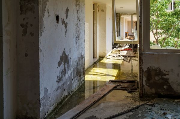 Water Removal Service in Belleville