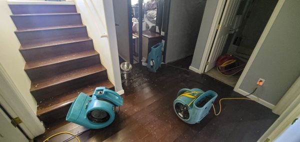Water Damage Remediation in Belleville