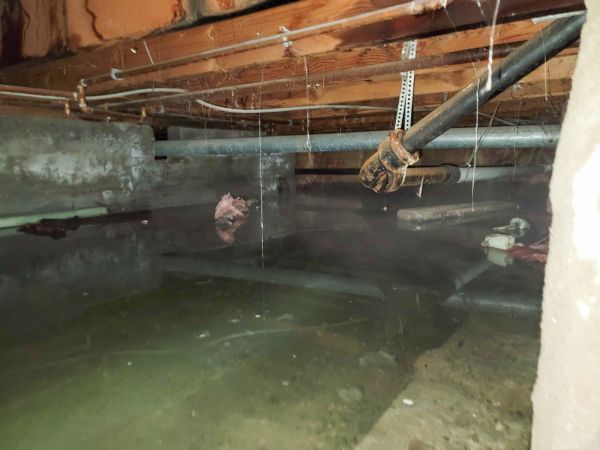 Cost of Water Mitigation Service in Belleville