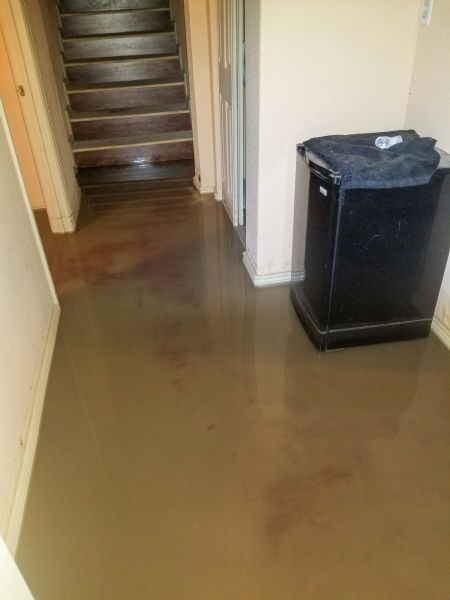 Emergency Water Removal in Belleville