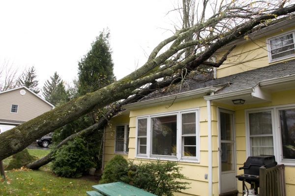 Hurricane Damage Repair in Belleville