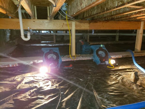 Crawlspace Water Removal in Belleville